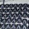 201754919830_.pic Complete Acura Car Frontal